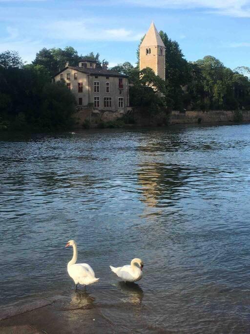 Appartement Face A L'ile Barbe *